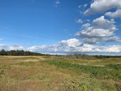Holiday house 14 Personen Ferienhaus in Vejby - Outdoor photo 25