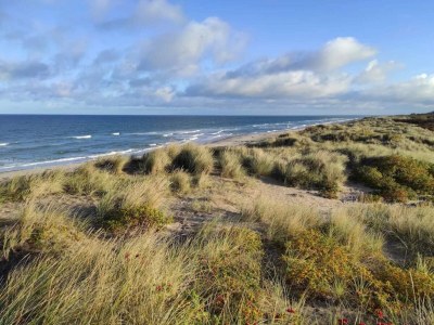 Holiday house 14 Personen Ferienhaus in Vejby - Outdoor photo 40