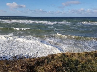 Holiday house 14 Personen Ferienhaus in Vejby - Outdoor photo 58