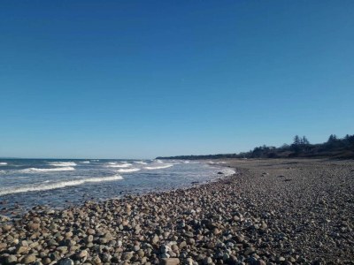 Holiday house 14 Personen Ferienhaus in Vejby - Outdoor photo 72