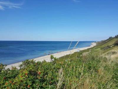 Holiday house 14 Personen Ferienhaus in Vejby - Outdoor photo 73