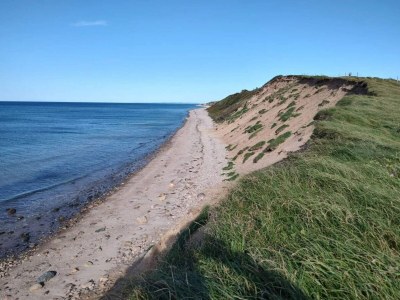 Holiday house 14 Personen Ferienhaus in Vejby - Outdoor photo 75