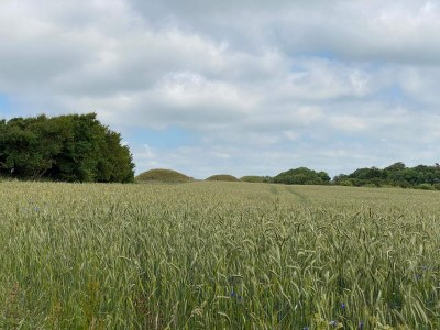 Holiday house 10 Personen Ferienhaus in Ranum - Outdoor photo 15