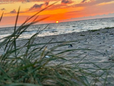 Holiday house 10 Personen Ferienhaus in Ranum - Outdoor photo 23