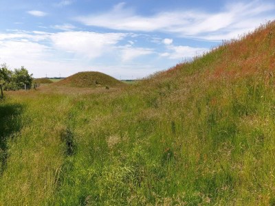 Holiday house 10 Personen Ferienhaus in Ranum - Outdoor photo 25