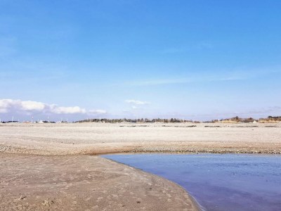 Holiday house 10 Personen Ferienhaus in Ranum - Outdoor photo 29