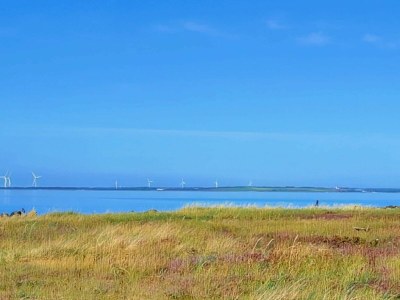 Holiday house 10 Personen Ferienhaus in Ranum - Outdoor photo 31