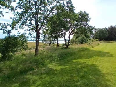 Holiday house 8 Personen Ferienhaus in Skals - Outdoor photo 15