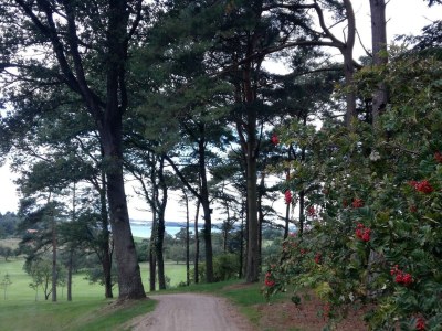 Holiday house 8 Personen Ferienhaus in Skals - Outdoor photo 40