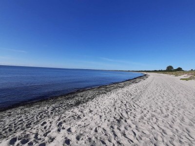 Holiday house Seaside Serenity in Marielyst - Outdoor photo 6
