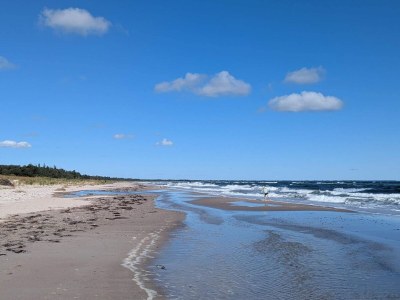 Holiday house Seaside Serenity in Marielyst - Outdoor photo 31
