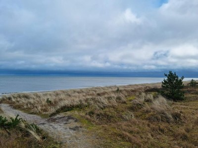 Holiday house Seaside Serenity in Marielyst - Outdoor photo 36