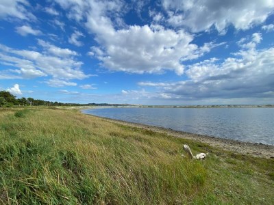 Holiday house 8 person holiday home in Knebel - Outdoor photo 36