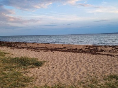 Holiday house 8 person holiday home in Knebel - Outdoor photo 39