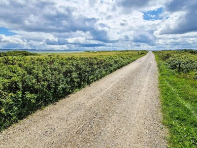 Holiday house 6 Personen Ferienhaus in Thyholm - Outdoor photo 5