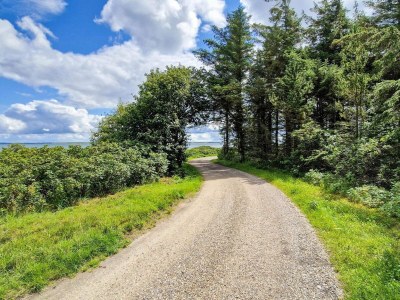 Holiday house 6 Personen Ferienhaus in Thyholm - Outdoor photo 9