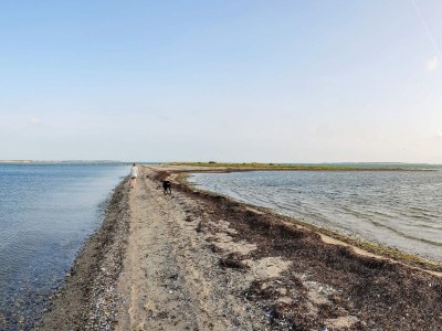 Holiday house 6 Personen Ferienhaus in Thyholm - Outdoor photo 14