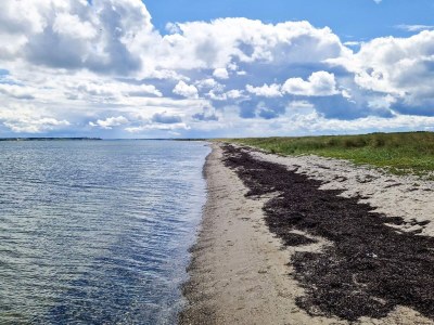 Holiday house 6 Personen Ferienhaus in Thyholm - Outdoor photo 31