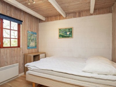 Holiday house 6 Personen Ferienhaus in Thyholm - Outdoor photo 42