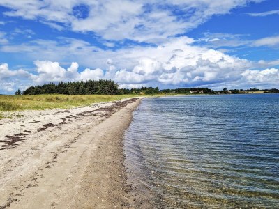 Holiday house 6 Personen Ferienhaus in Thyholm - Outdoor photo 43