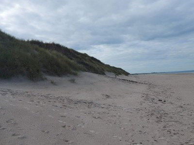 Holiday house Luxurioses Dunenrefugium-By Traum - Outdoor photo 37