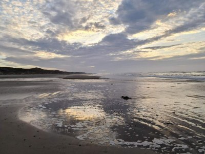 Holiday house Luxurioses Dunenrefugium-By Traum - Outdoor photo 38