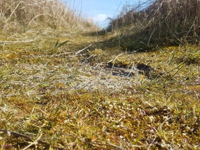 Holiday house Strandhaus mit Sauna-By Traum - Outdoor photo 12