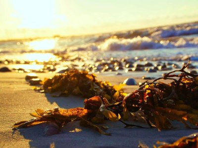 Holiday house Strandhaus mit Sauna-By Traum - Outdoor photo 15