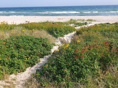 Holiday house Strandhaus mit Sauna-By Traum - Outdoor photo 22