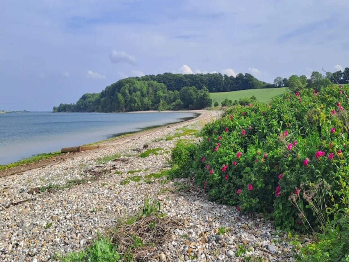 Holiday house 8 Personen Ferienhaus in Haderslev - Outdoor photo 5