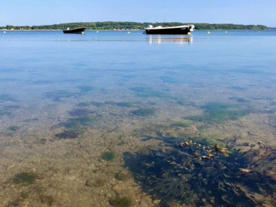 Holiday house 8 Personen Ferienhaus in Haderslev - Outdoor photo 8