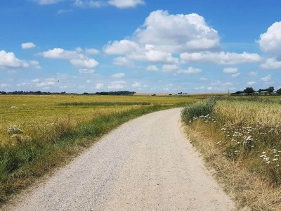 Holiday house 8 Personen Ferienhaus in Haderslev - Outdoor photo 17
