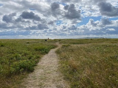 Holiday house 8 Personen Ferienhaus in Haderslev - Outdoor photo 35