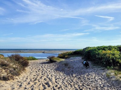 Holiday house 16 person holiday home in Væggerløse - Outdoor photo 13