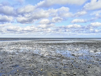 Holiday house 16 person holiday home in Væggerløse - Outdoor photo 24