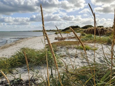 Holiday house 16 person holiday home in Væggerløse - Outdoor photo 39