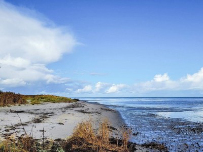 Holiday house 16 person holiday home in Væggerløse - Outdoor photo 40