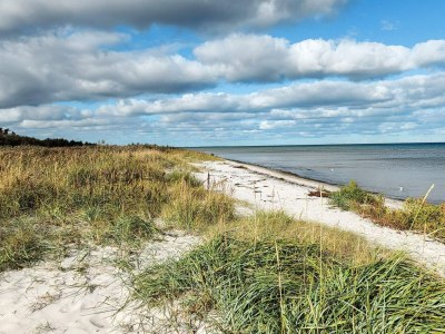 Holiday house 16 person holiday home in Væggerløse - Outdoor photo 47