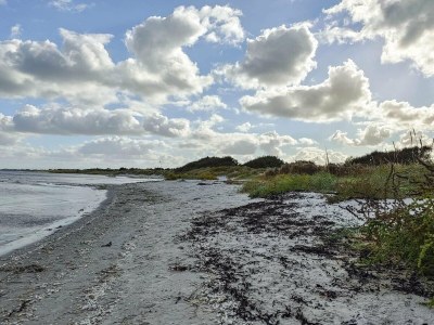 Holiday house 16 person holiday home in Væggerløse - Outdoor photo 53