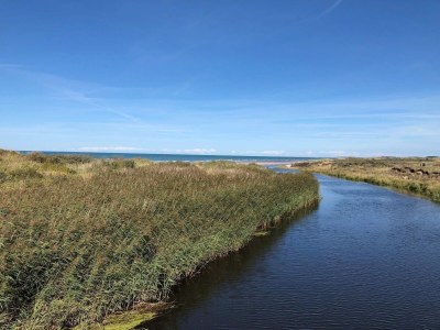 Holiday house 6 Personen Ferienhaus in Bindslev - Outdoor photo 28