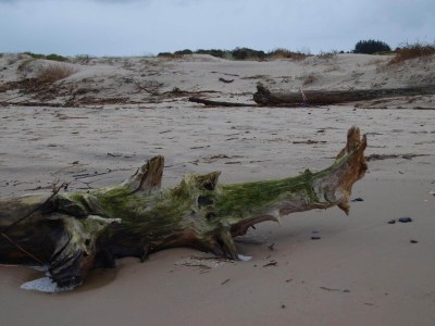 Holiday house 6 Personen Ferienhaus in Bindslev - Outdoor photo 44
