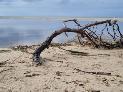Holiday house 6 Personen Ferienhaus in Bindslev - Outdoor photo 47