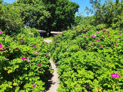 Holiday house 6 Personen Ferienhaus in Sjølund - Outdoor photo 15