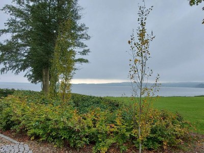 Holiday house 6 Personen Ferienhaus in Sjølund - Outdoor photo 16