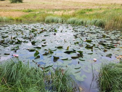 Holiday house 6 Personen Ferienhaus in Sjølund - Outdoor photo 35