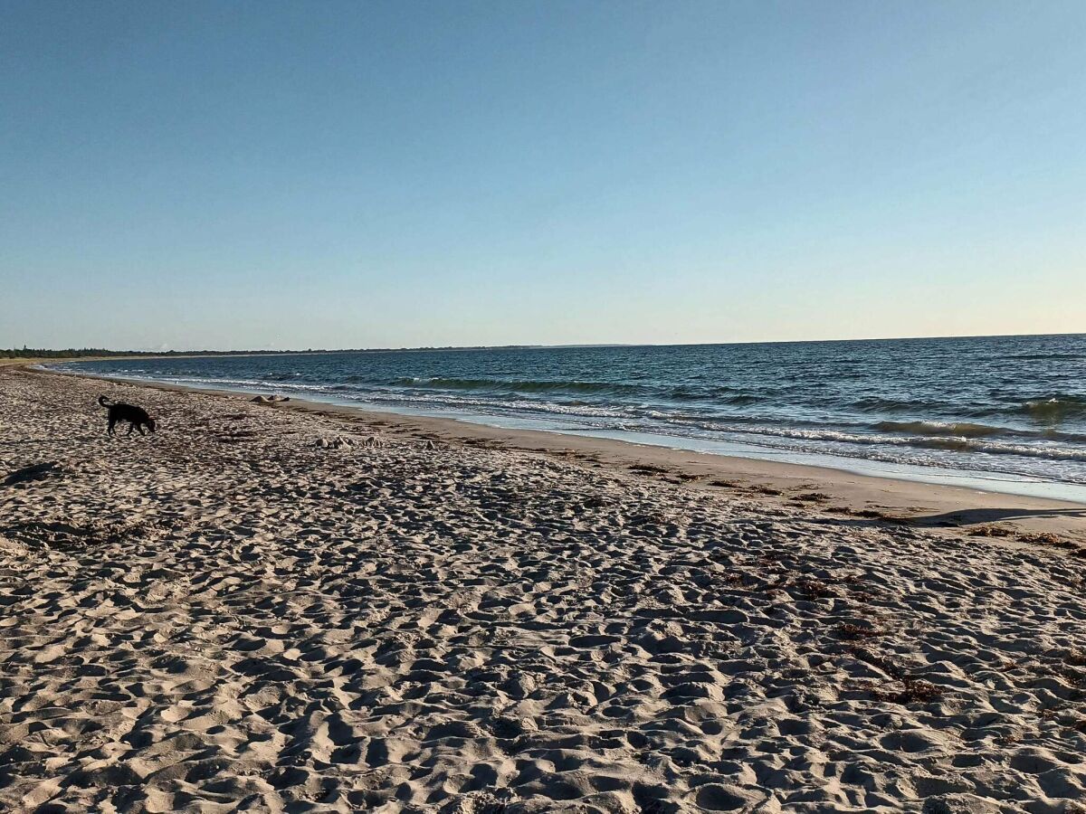 Holiday house 8 person holiday home in Væggerløse - Outdoor photo 4