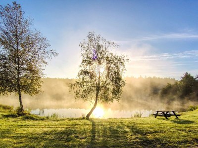 Holiday house Modern Cottage Oasis in Arrild - Outdoor photo 5