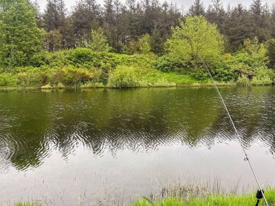 Holiday house Modern Cottage Oasis in Arrild - Outdoor photo 15