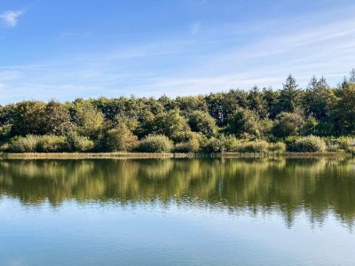 Holiday house Modern Cottage Oasis in Arrild - Outdoor photo 16