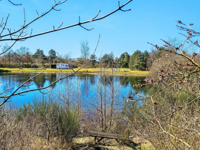 Holiday house Modern Cottage Oasis in Arrild - Outdoor photo 19